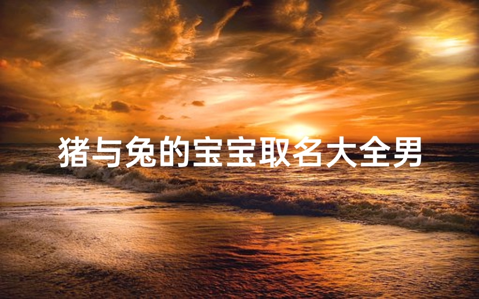猪与兔的宝宝取名大全男孩