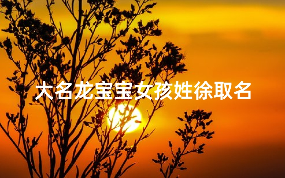 大名龙宝宝女孩姓徐取名