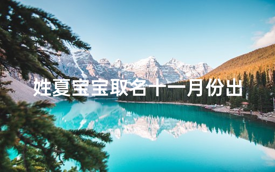 姓夏宝宝取名十一月份出生的,《夏宝宝:寒冬里的温暖新生》