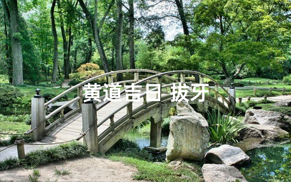 黄道吉日 拔牙