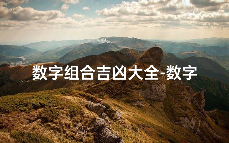数字组合吉凶大全-数字密码65316:揭秘吉凶背后的神秘力量