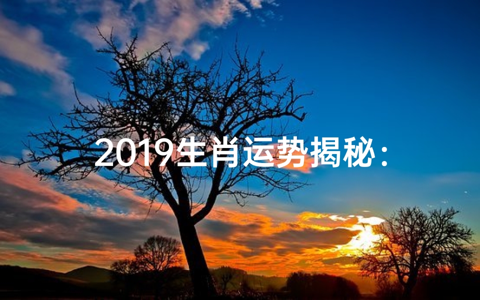 2019生肖运势揭秘:8月运势大起底