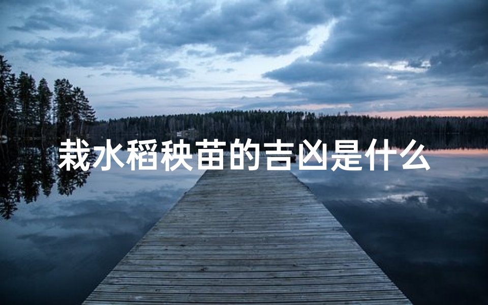 栽水稻秧苗的吉凶是什么—水稻秧苗栽种吉凶之谜-优贝算卦网