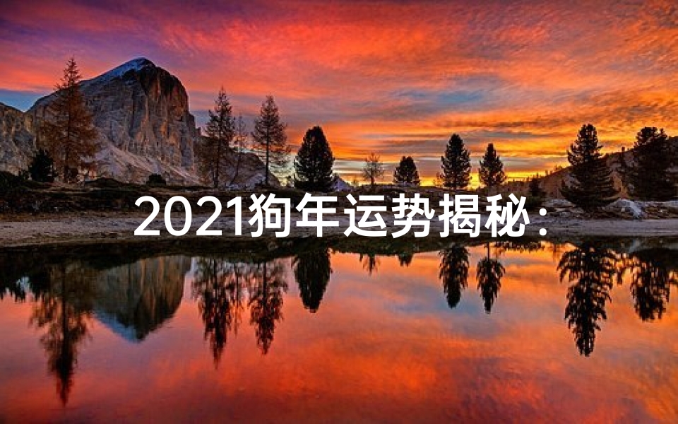 2021狗年运势揭秘：旺运指南大公开