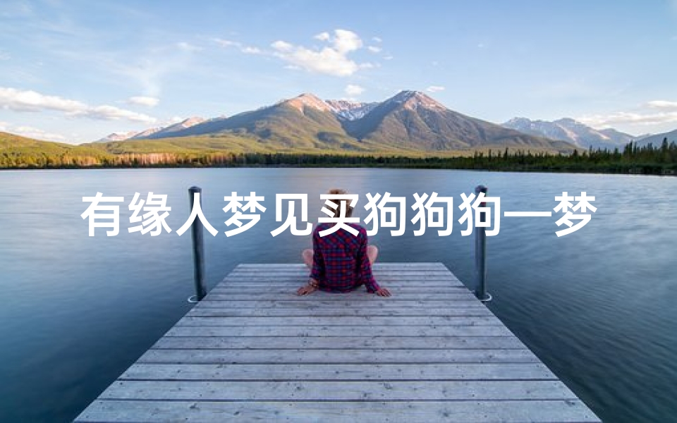 有缘人梦见买狗狗狗—梦到买狗狗