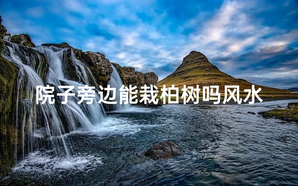 院子旁边能栽柏树吗风水