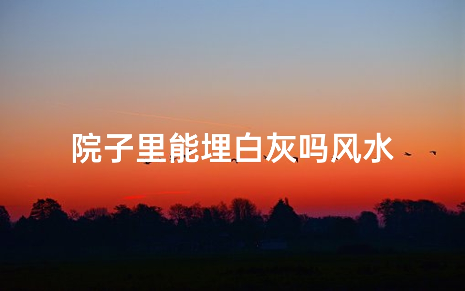 院子里能埋白灰吗风水