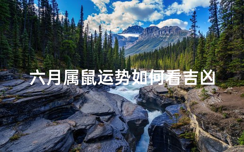 六月属鼠运势如何看吉凶-六月属鼠运势吉凶揭秘