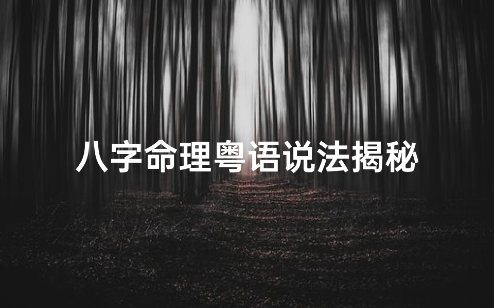 八字命理粤语说法揭秘