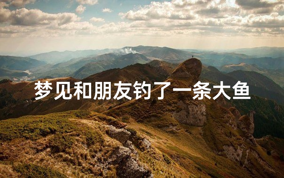 梦见和朋友钓了一条大鱼后放生了_梦见和朋友钓了好多鱼