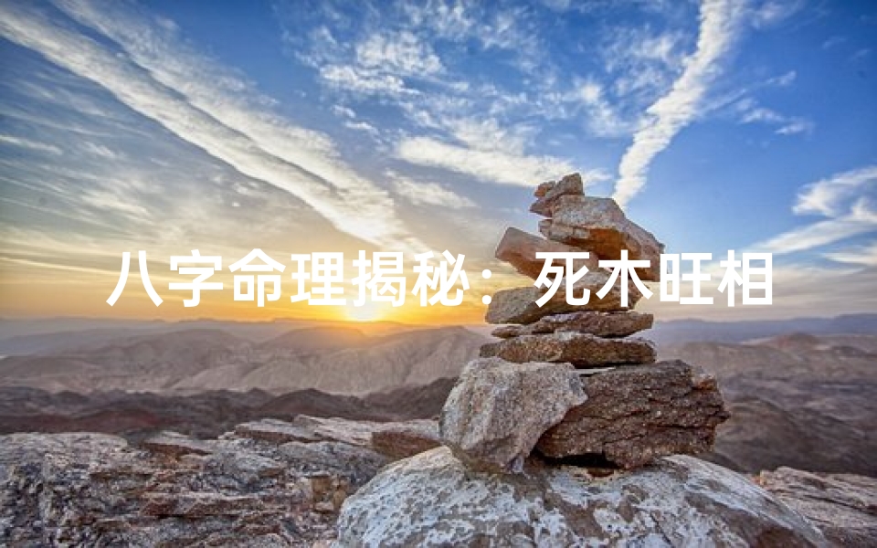 八字命理揭秘：死木旺相喜何木？