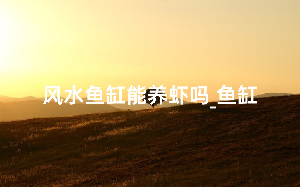 风水鱼缸能养虾吗_鱼缸风水虾:摆放指南与禁忌
