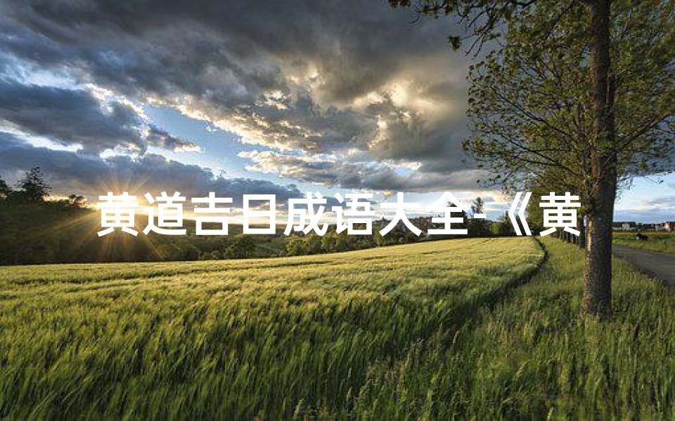 黄道吉日成语大全-《黄道吉日成语大全:吉祥如意宝典汇编》