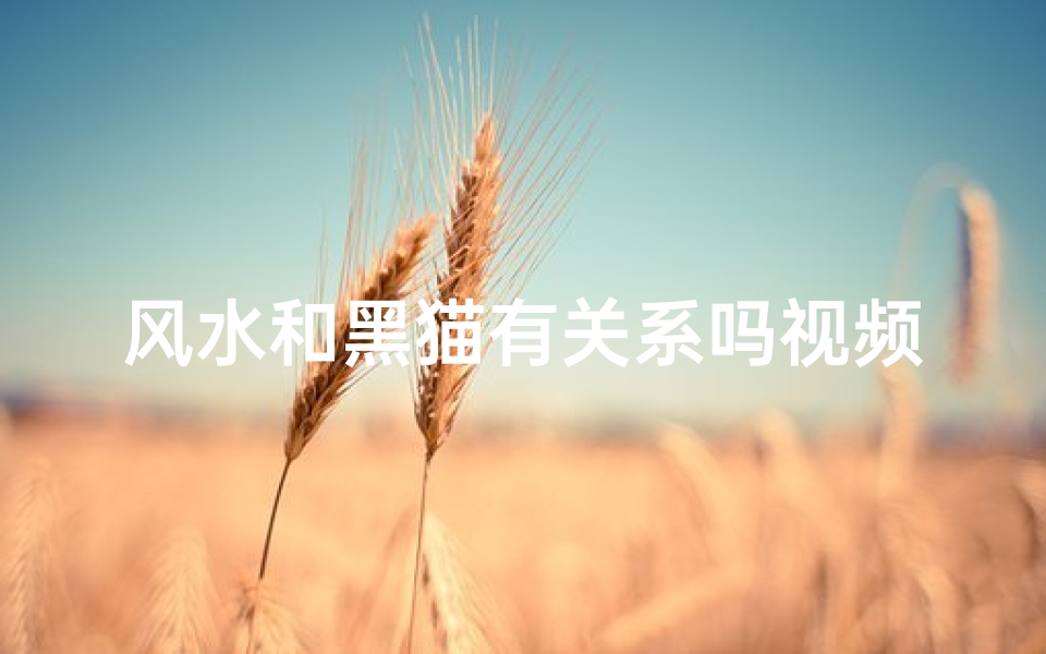 风水和黑猫有关系吗视频、黑猫风水之谜:神秘力量还是迷信传说?