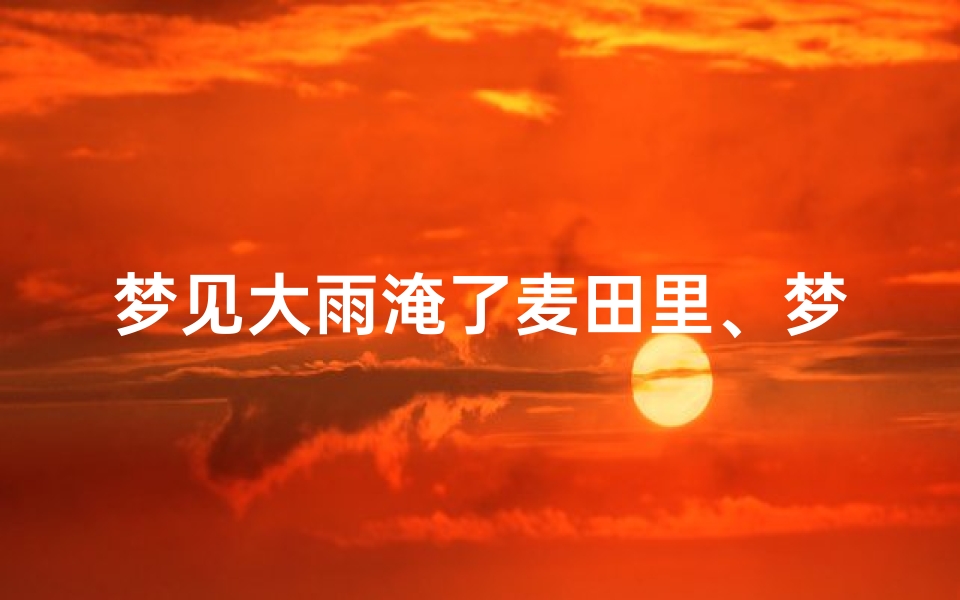 梦见大雨淹了麦田里、梦见大雨淹了田地