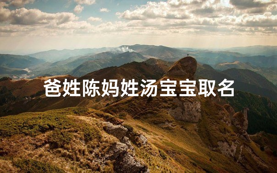 爸姓陈妈姓汤宝宝取名