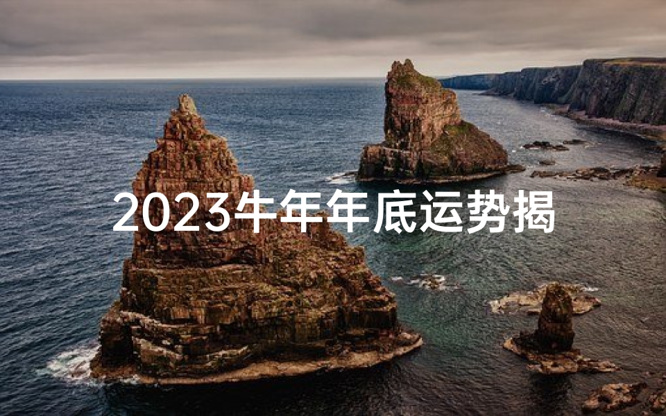 2023牛年年底运势揭秘:财运亨通,事业腾飞