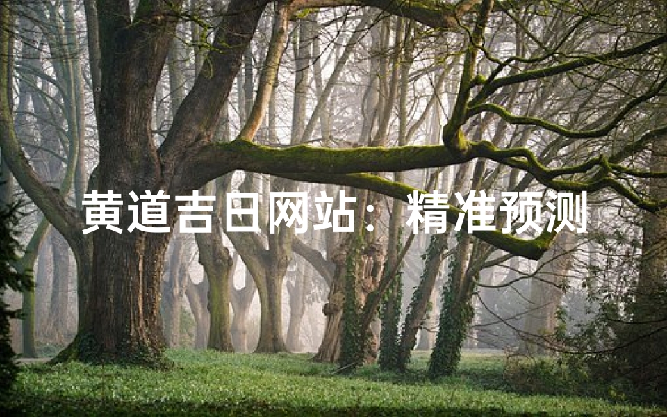 黄道吉日网站：精准预测，把握良辰吉日