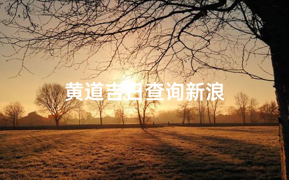 黄道吉日查询新浪