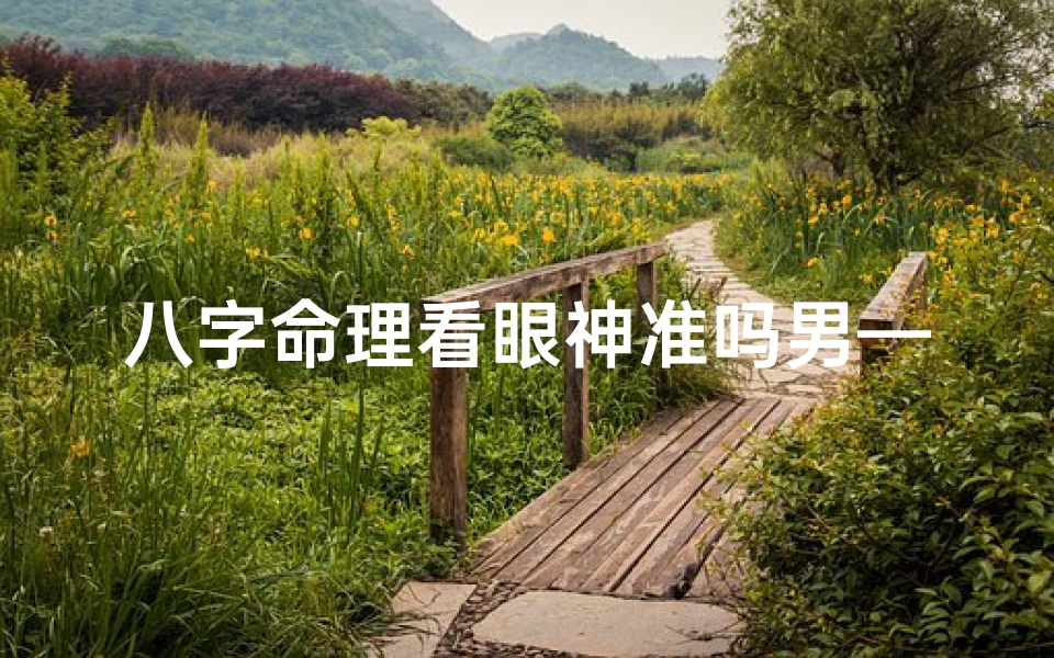 八字命理看眼神准吗男—八字命理揭秘:眼神准吗?男性命运解析