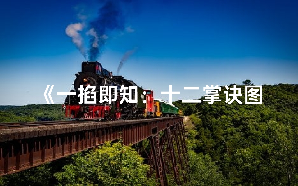 《一掐即知:十二掌诀图解吉凶奥秘》