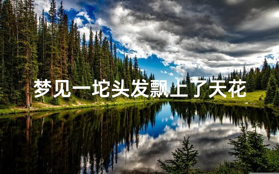 梦见一坨头发飘上了天花板-梦见头发满天飞