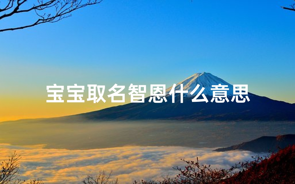 宝宝取名智恩什么意思