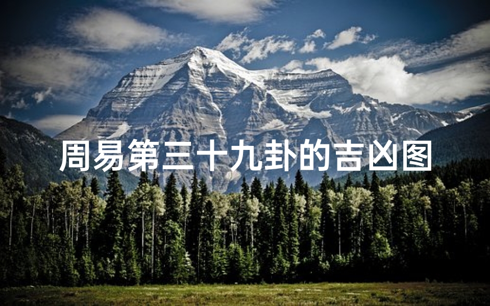 周易第三十九卦的吉凶图_《周易第三十九卦:泰卦吉凶图解密》