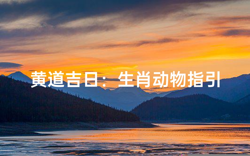 黄道吉日:生肖动物指引好运时刻
