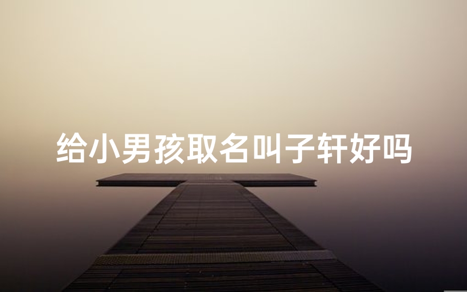 给小男孩取名叫子轩好吗_《子轩:寓意深远,寓意美好的宝宝名字》