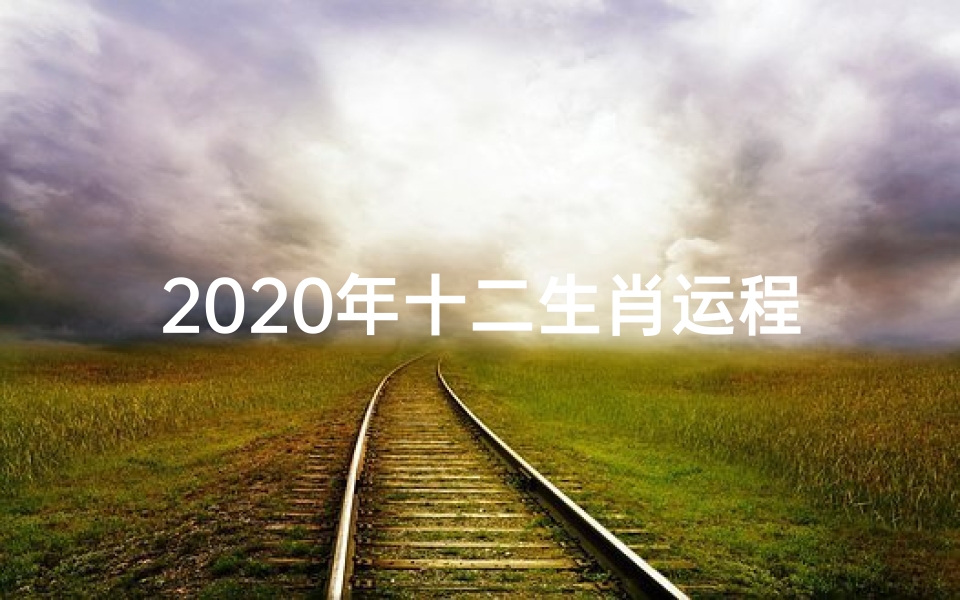 2020年十二生肖运程官方网站(《2020十二生肖运势图解:运势吉凶一览》)