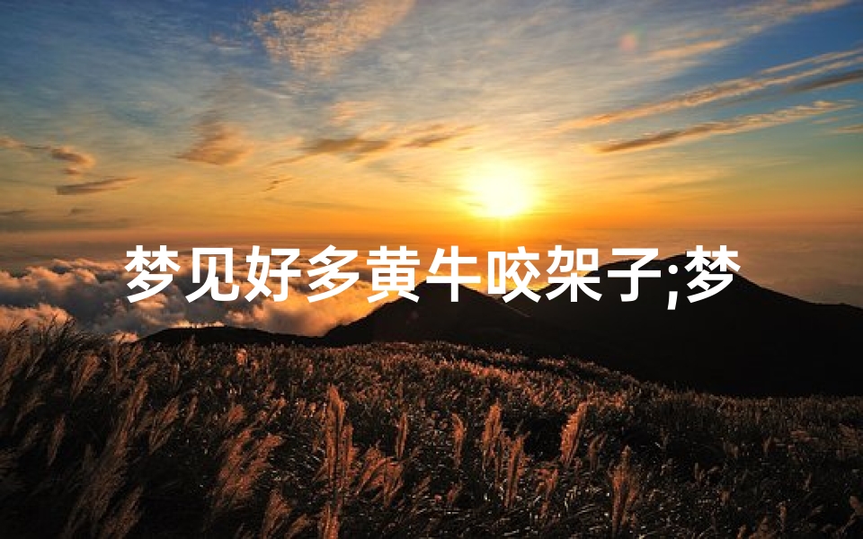 梦见好多黄牛咬架子;梦见黄牛咬人