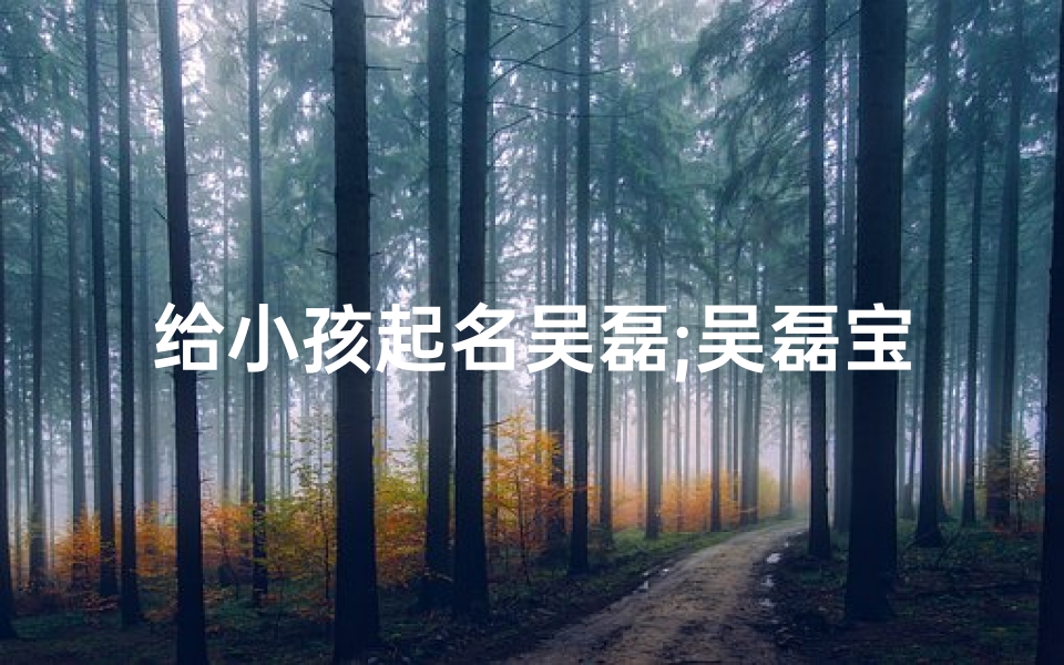 给小孩起名吴磊;吴磊宝宝:寓意阳光磊落,未来可期