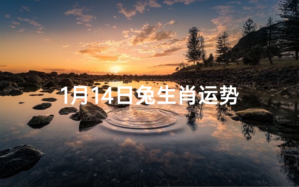 1月14日兔生肖运势