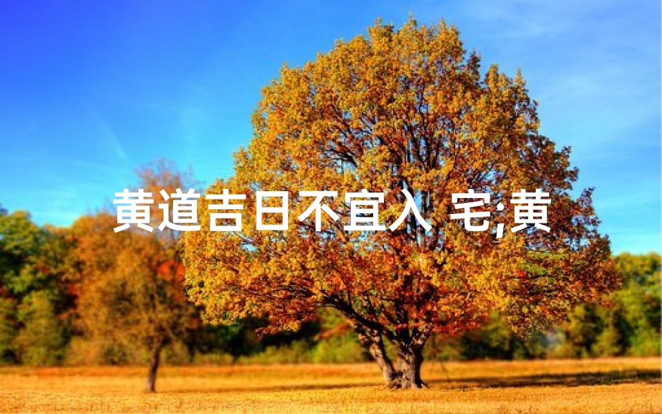 黄道吉日不宜入 宅;黄道吉日不宜入宅,风水禁忌揭秘