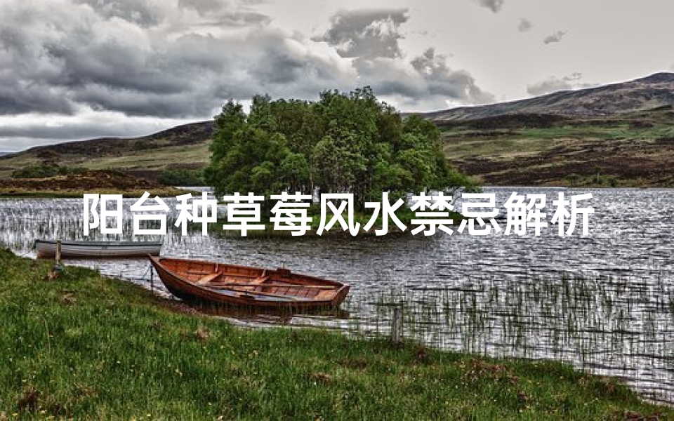 阳台种草莓风水禁忌解析