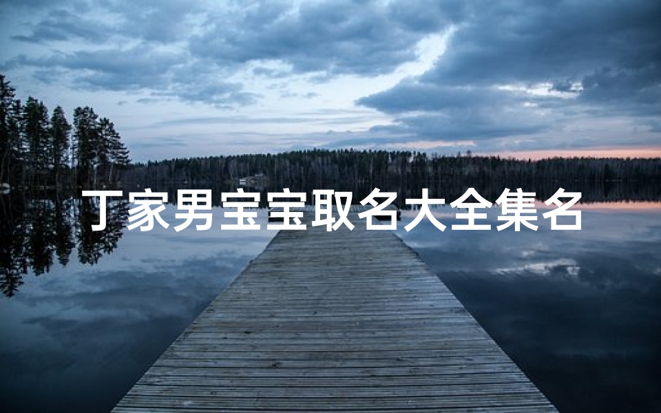 丁家男宝宝取名大全集名字,丁家男宝宝取名大全集名字叫什么