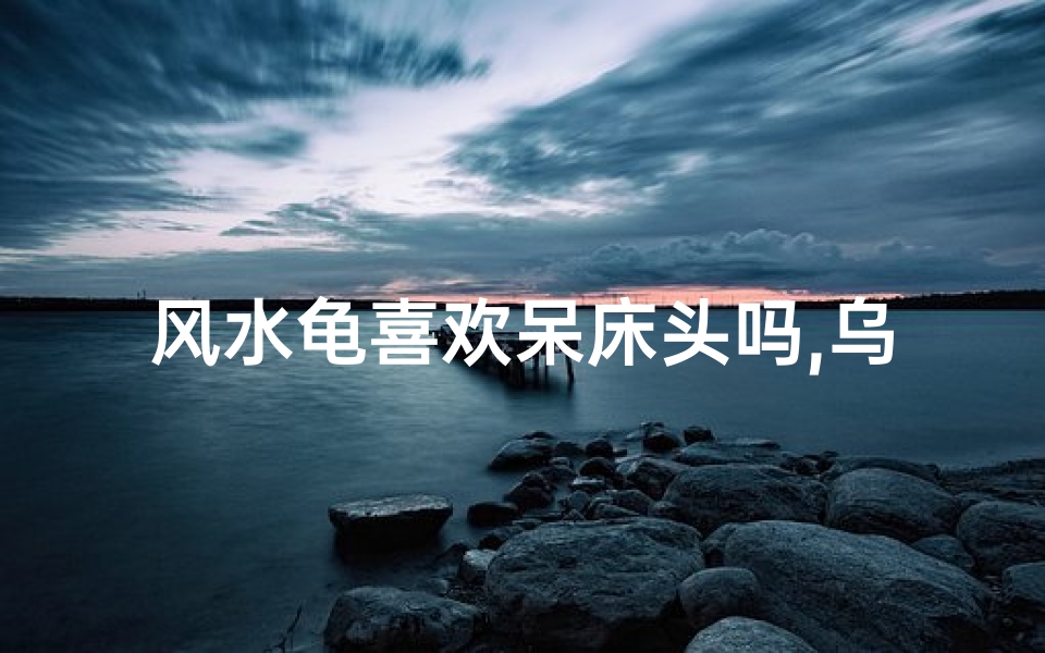 风水龟喜欢呆床头吗,乌龟放床头养好不好