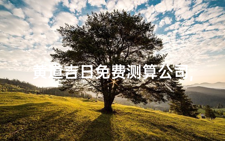 黄道吉日免费测算公司,黄道吉日免费测算,精准预测,好运连连