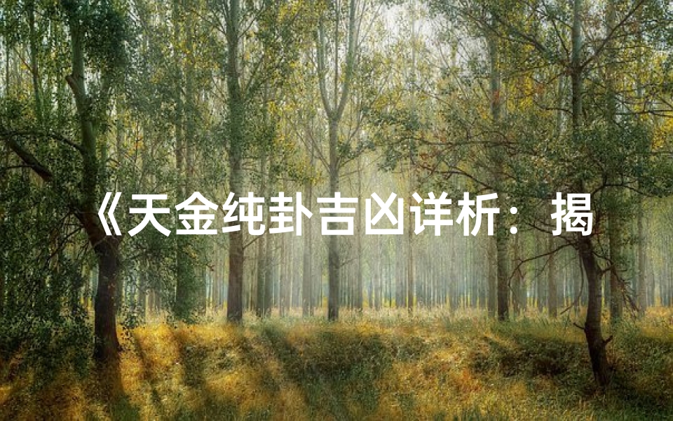 《天金纯卦吉凶详析:揭秘命运奥秘图解》