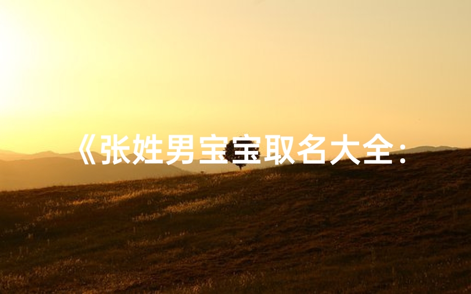 《张姓男宝宝取名大全:精选雅致好名》