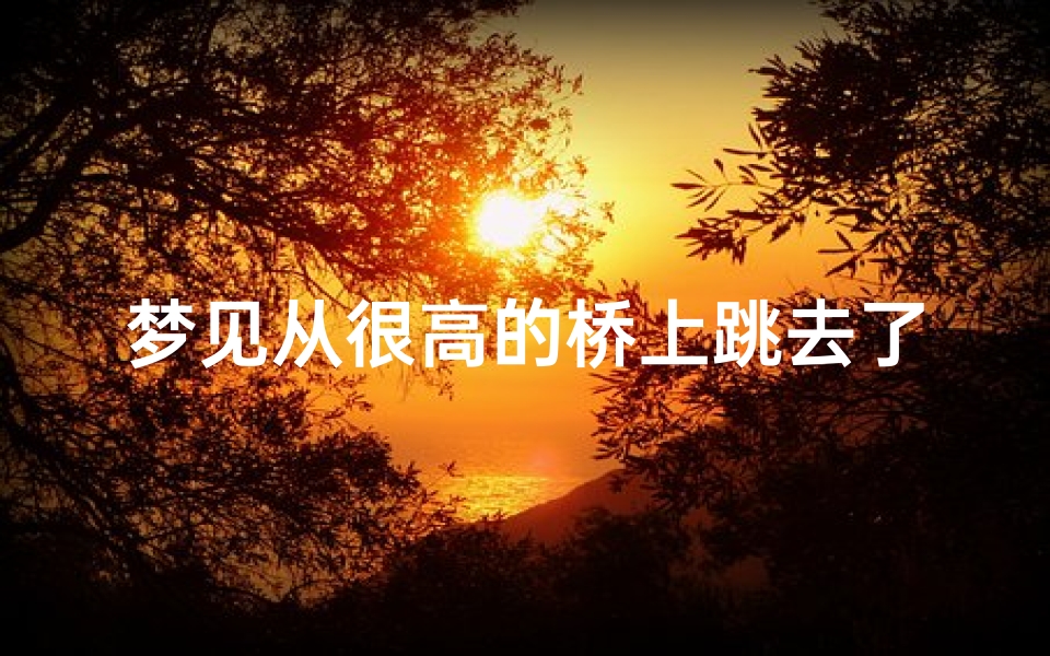 梦见从很高的桥上跳去了,梦见自己从很高的桥上掉下去