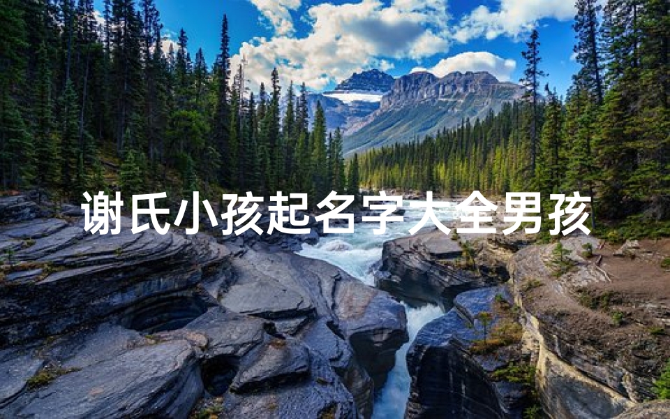 谢氏小孩起名字大全男孩-优贝算卦网