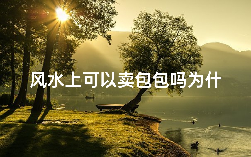 风水上可以卖包包吗为什么(风水宝地能卖包包?揭秘风水旺铺选包秘籍)