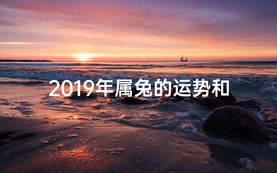 2019年属兔的运势和财运-《2019年9月生肖兔运势:金秋好运连连》