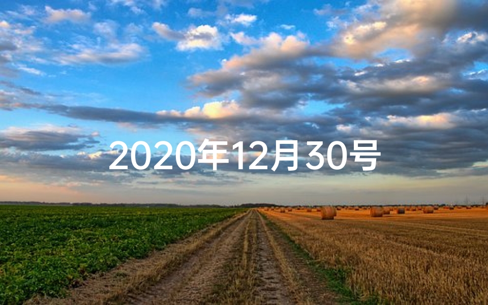 2020年12月30号12生肖财运_《12月30日生肖运势揭秘:运势高峰来袭》