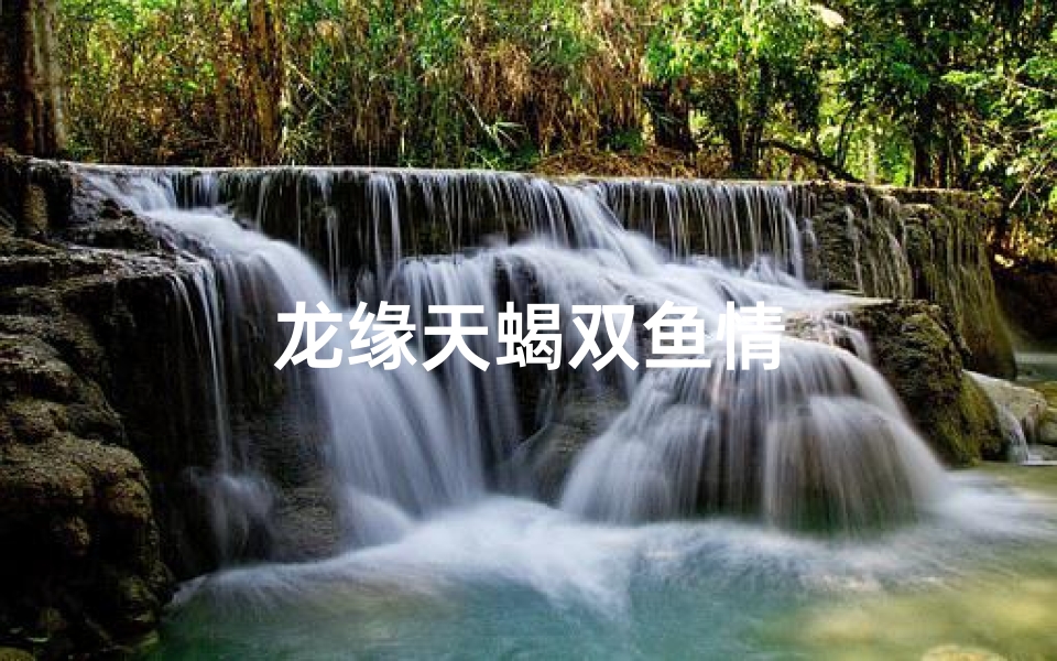 龙缘天蝎双鱼情