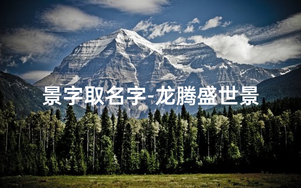 景字取名字-龙腾盛世景瑞祥,龙子景瑞耀未来