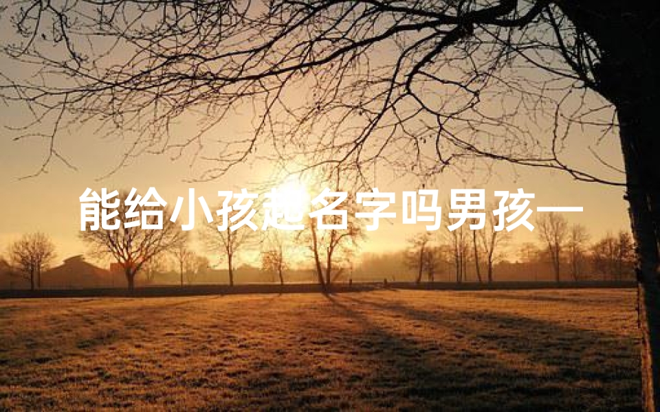 能给小孩起名字吗男孩—《精选男孩名字:寓意美好,助力成长》