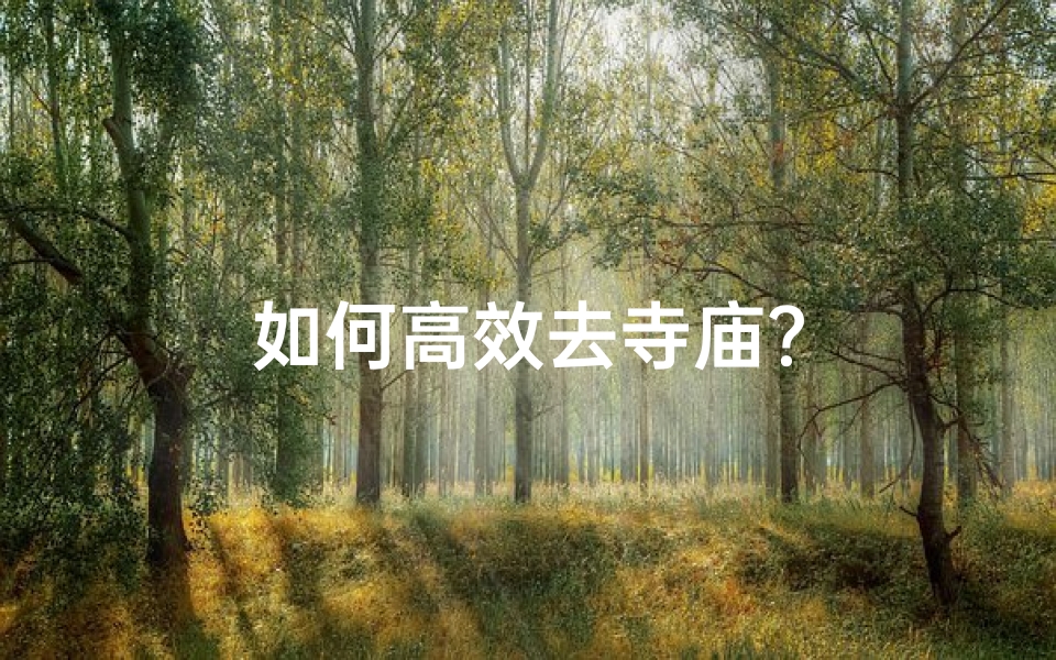 如何高效去寺庙?